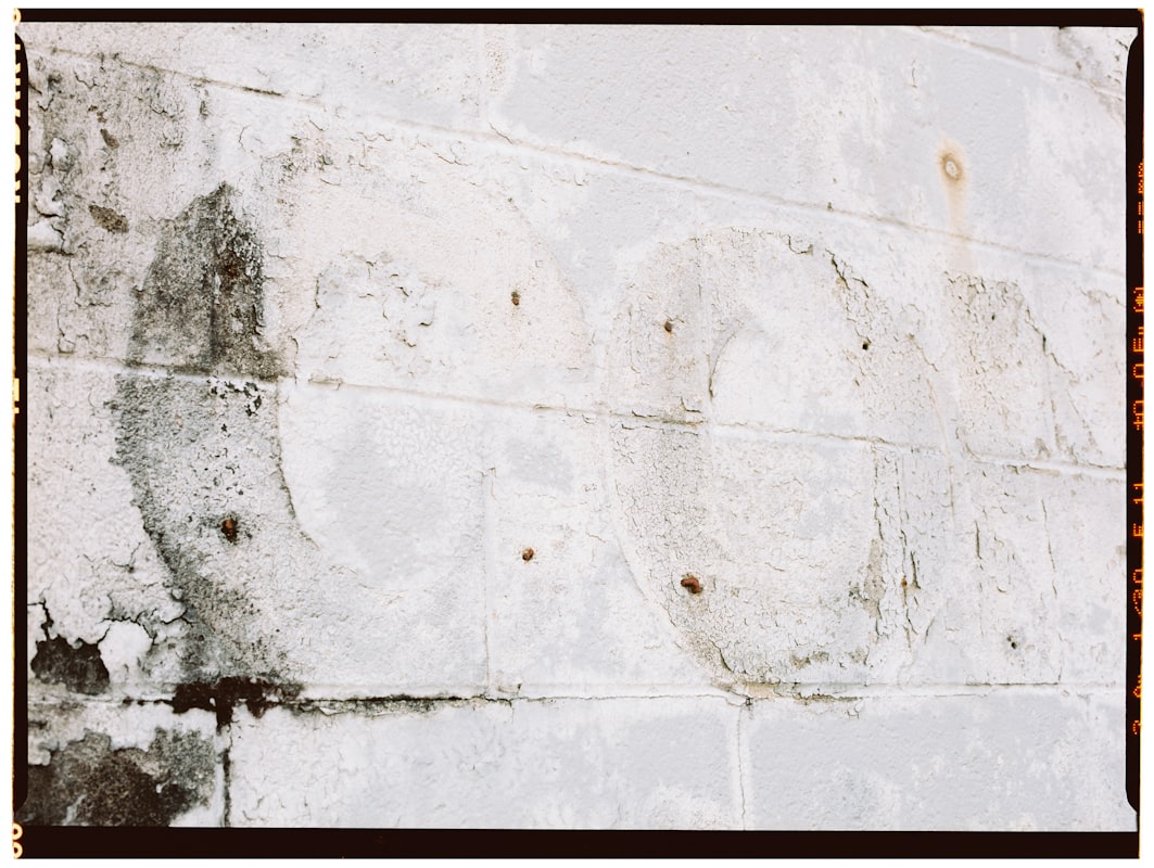 Mold Remediation service in East Providence, RI